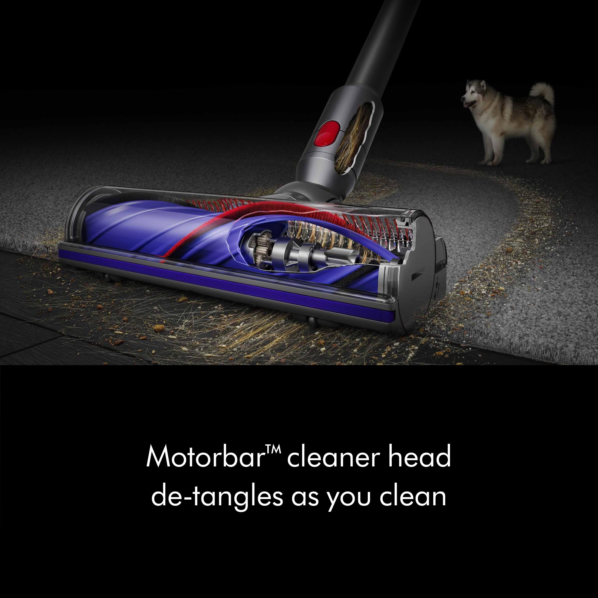 Dyson V8™ Cordless Vacuum