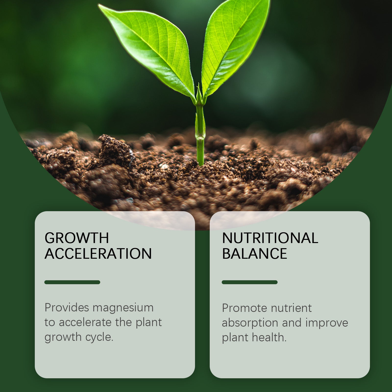 MoonSpry Plant Growth Nutrient Powder Plant Growth Nutrient Supplement Soil Conditioning Plant Nutrient